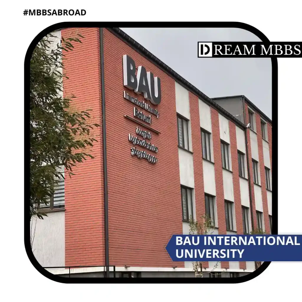BAU International University-1