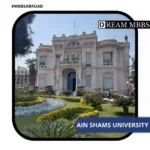 Ain Shams University-1