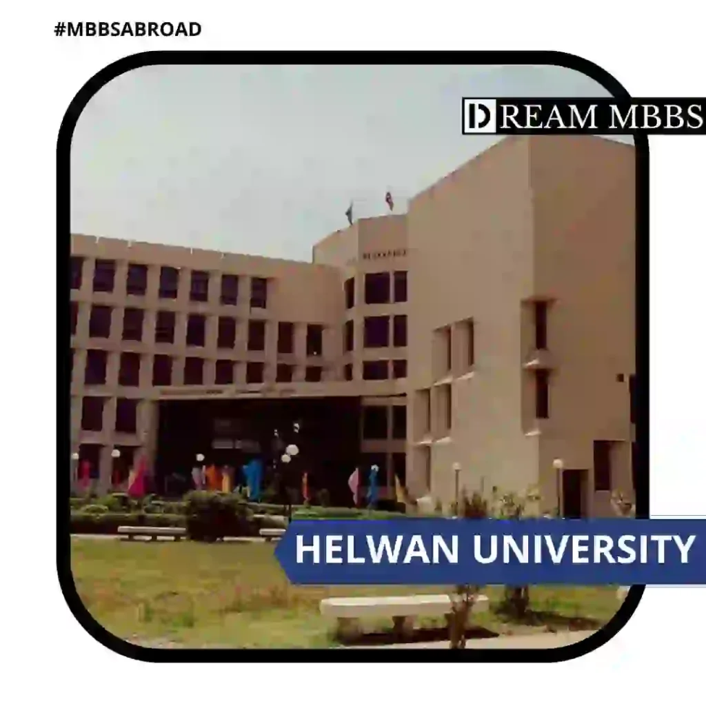 Helwan University-1
