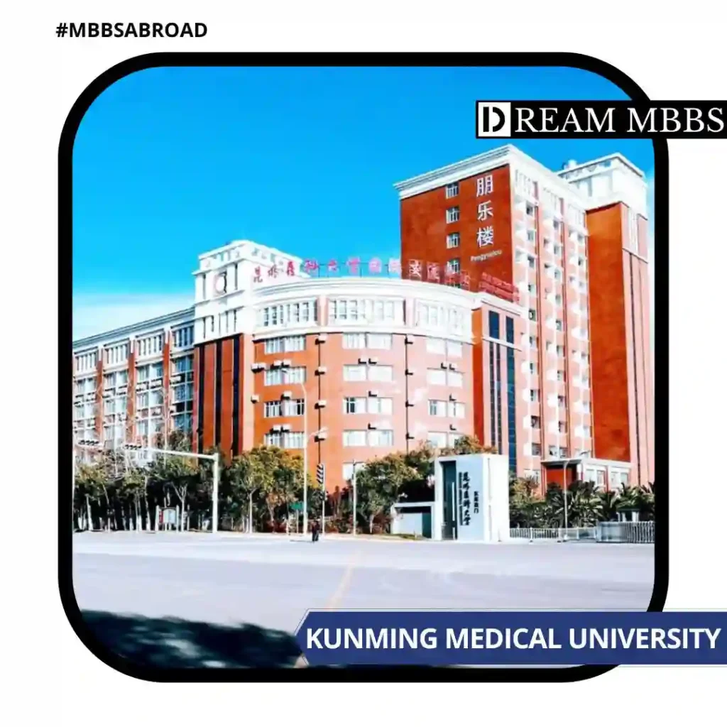 Kunming Medical University-2