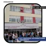 LLC Caucasus International University-1