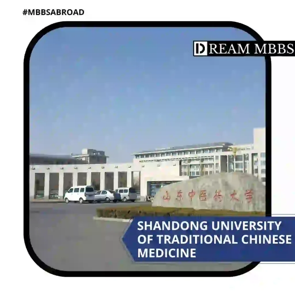 Shandong University of Traditional Chinese Medicine-1
