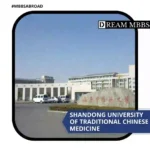 Shandong University of Traditional Chinese Medicine-1
