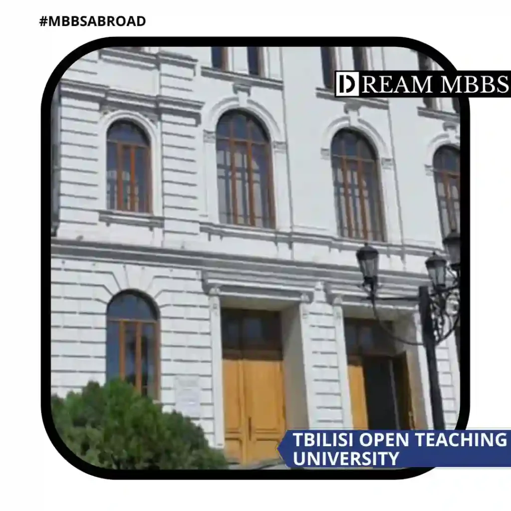 Tbilisi Open Teaching University-2