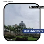 Segi University