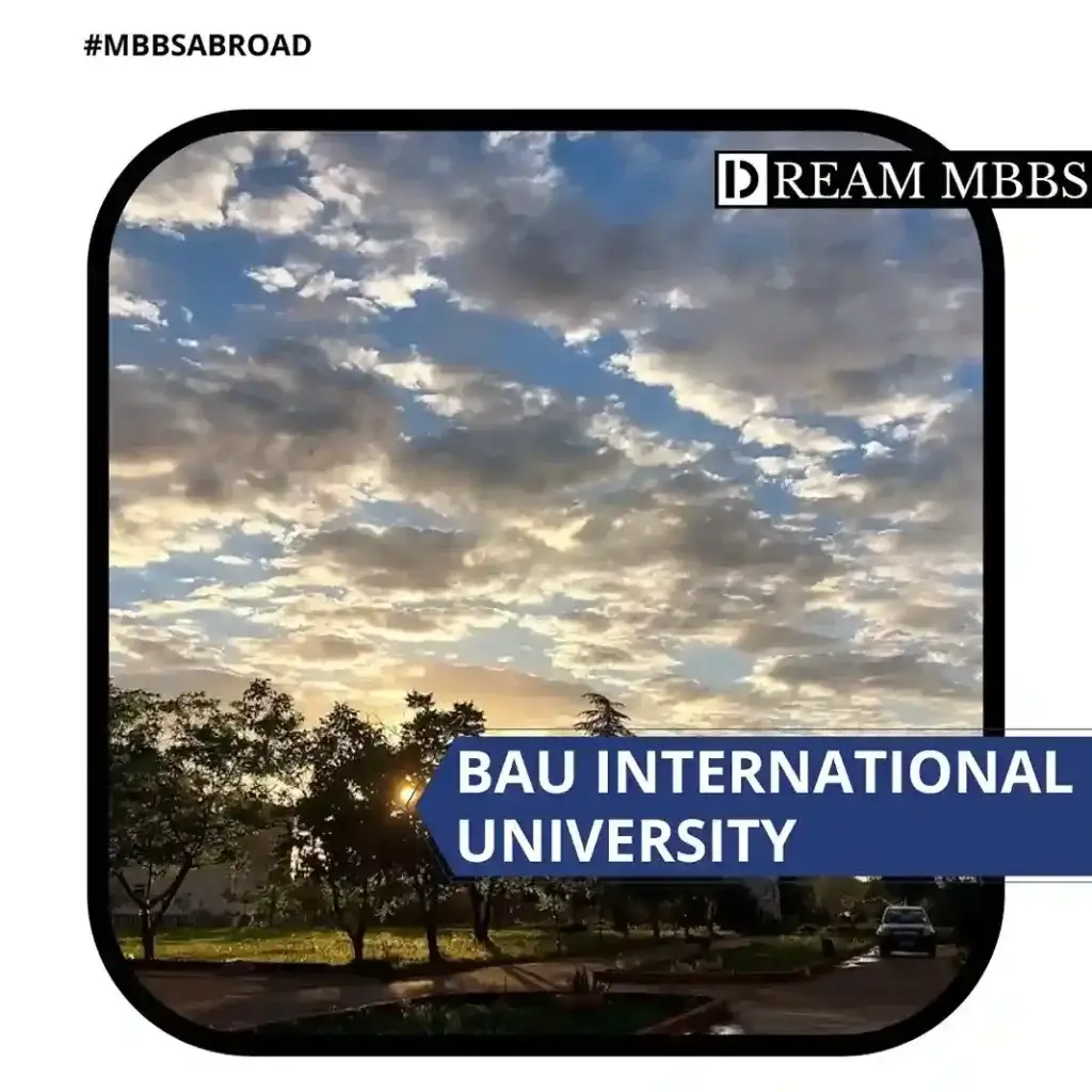 BAU International University-1