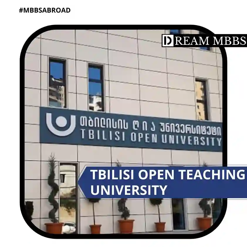 Tbilisi Open Teaching University